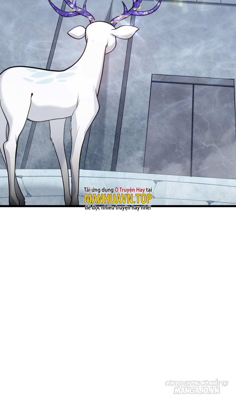 Nhìn Như Boss Nhưng Lại Đáng Tin Cậy Chapter 2 - Trang 2