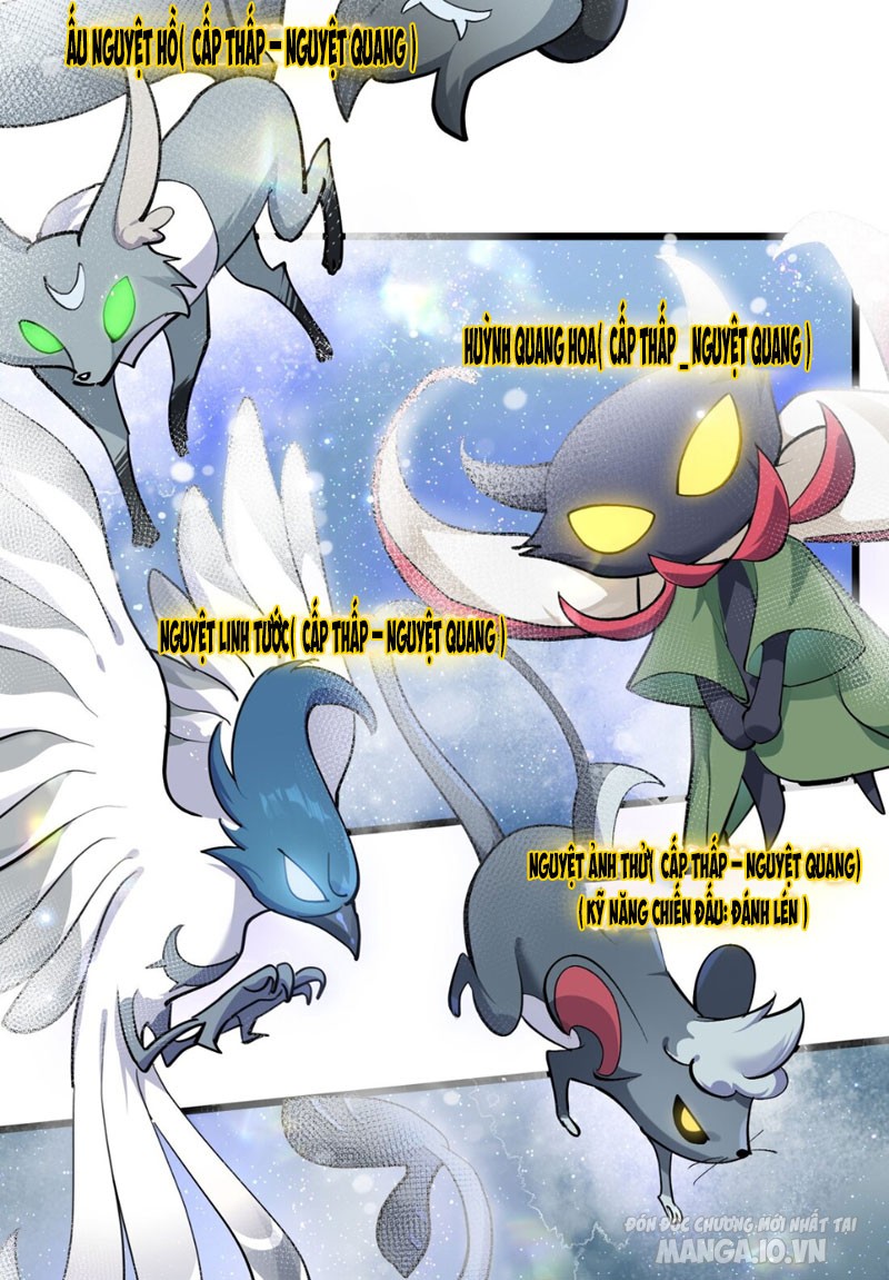 Nhìn Như Boss Nhưng Lại Đáng Tin Cậy Chapter 2 - Trang 2