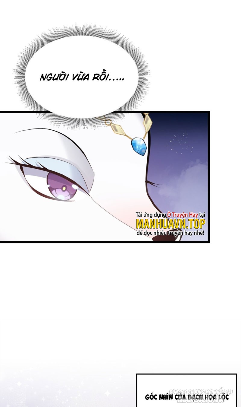 Nhìn Như Boss Nhưng Lại Đáng Tin Cậy Chapter 2 - Trang 2