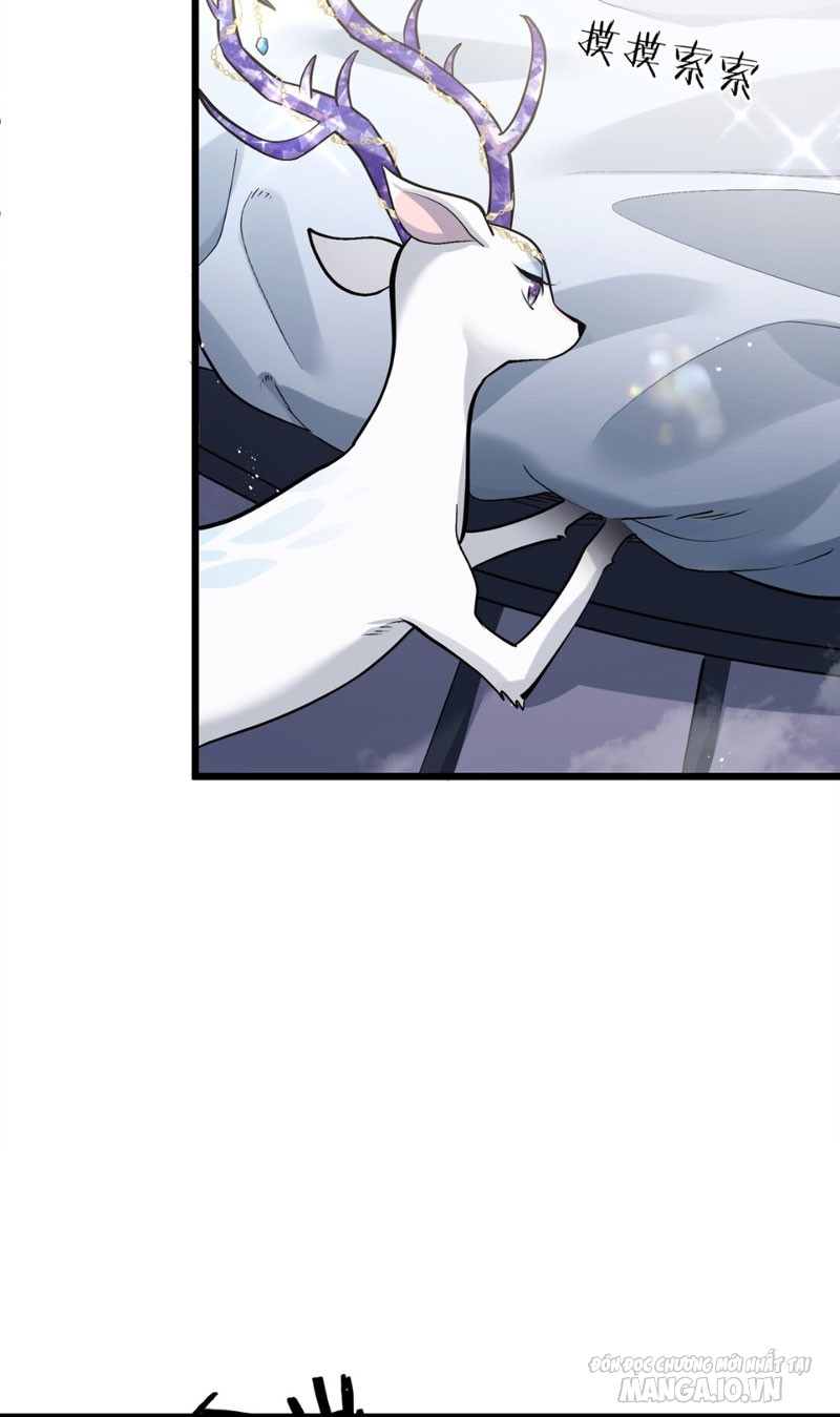 Nhìn Như Boss Nhưng Lại Đáng Tin Cậy Chapter 2 - Trang 2