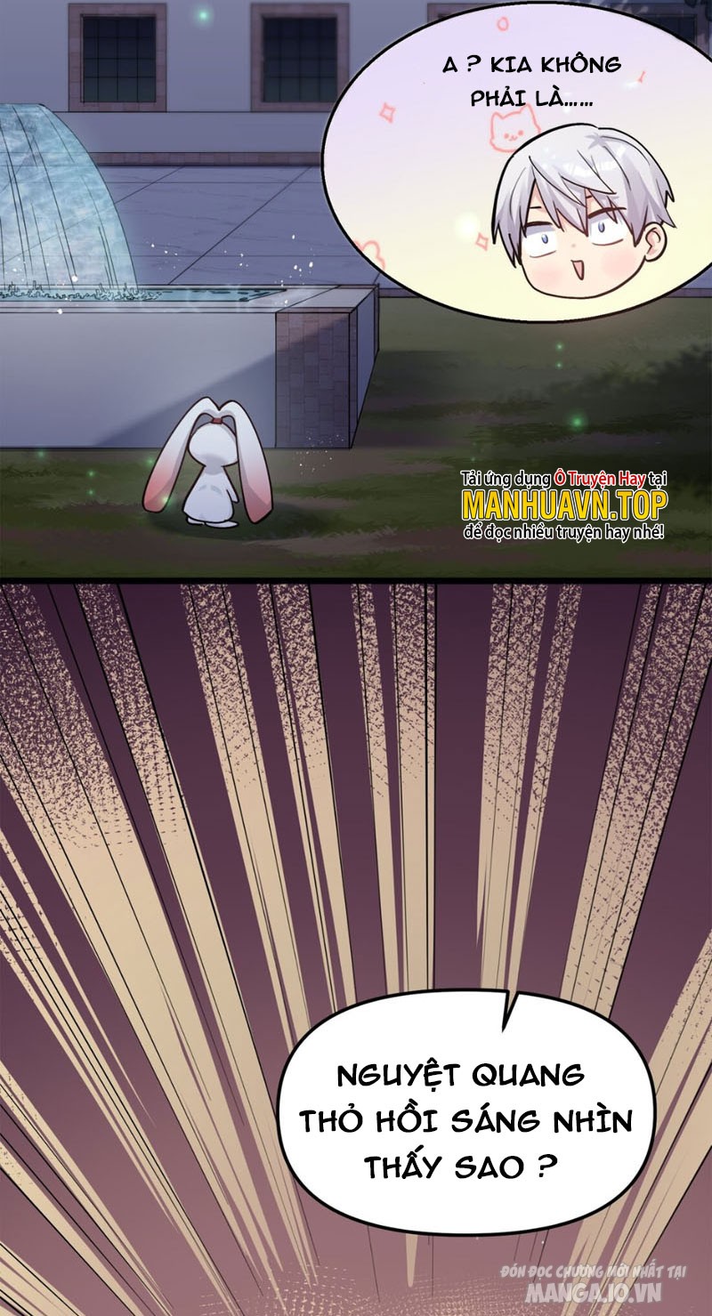 Nhìn Như Boss Nhưng Lại Đáng Tin Cậy Chapter 3 - Trang 2
