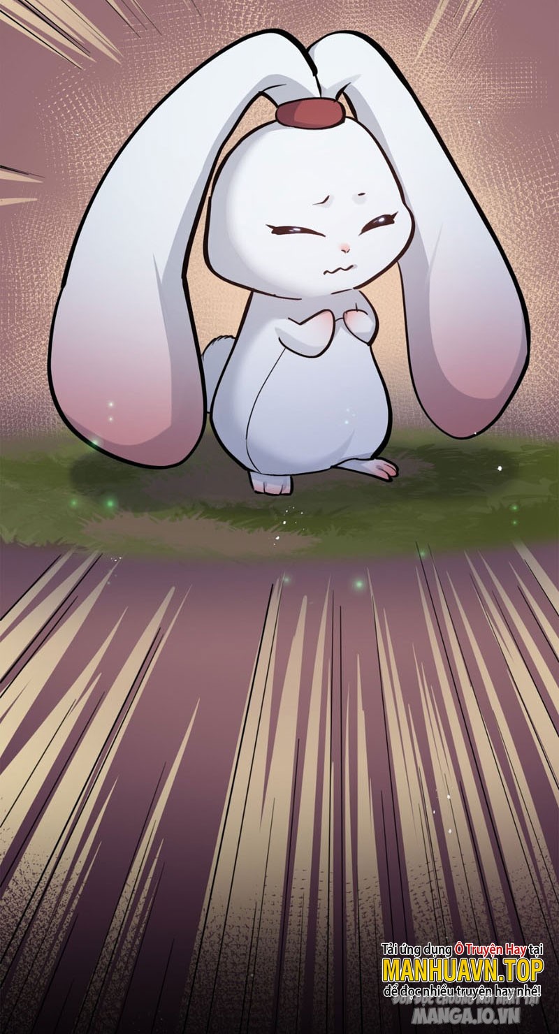 Nhìn Như Boss Nhưng Lại Đáng Tin Cậy Chapter 3 - Trang 2