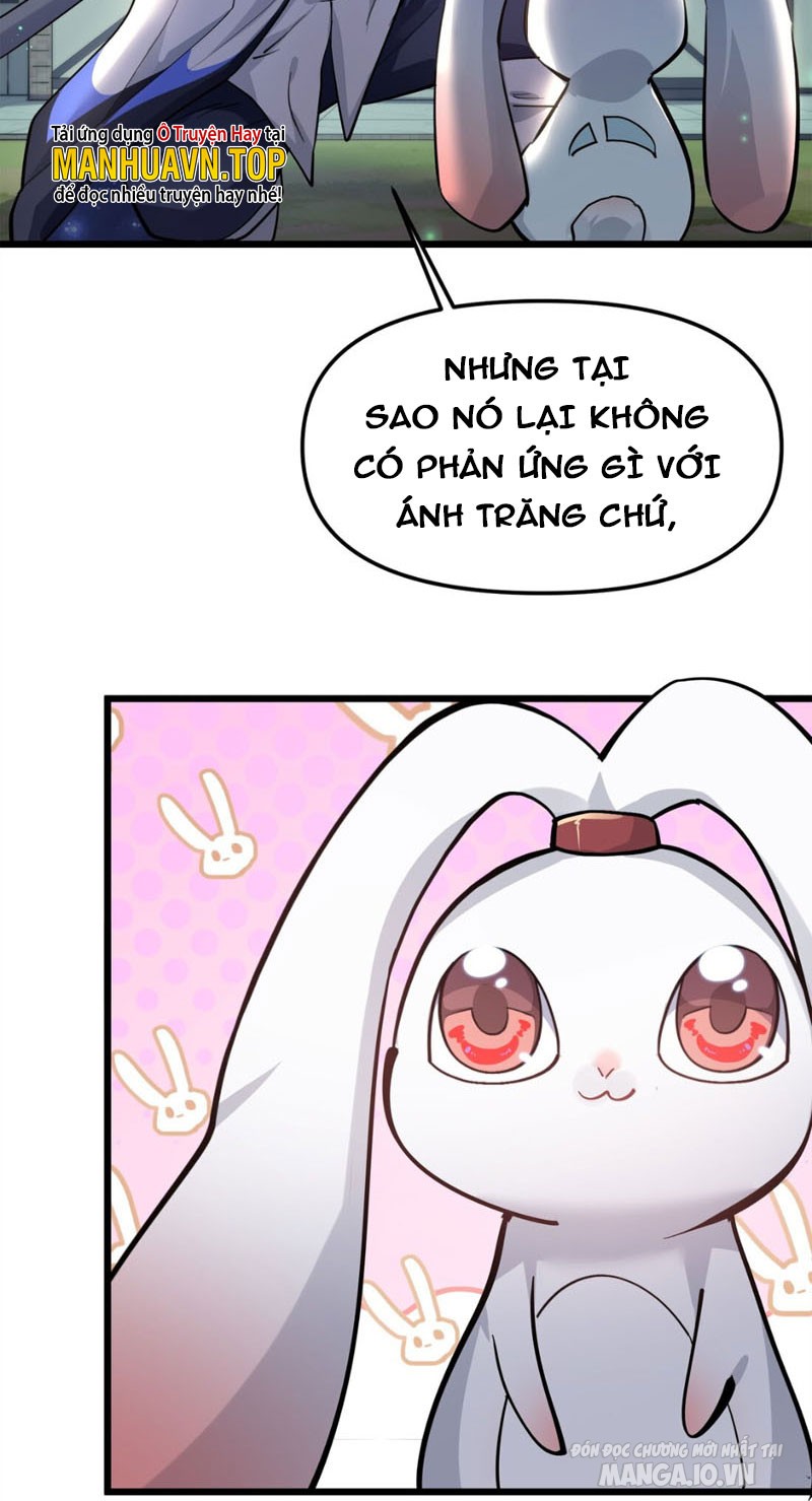 Nhìn Như Boss Nhưng Lại Đáng Tin Cậy Chapter 3 - Trang 2