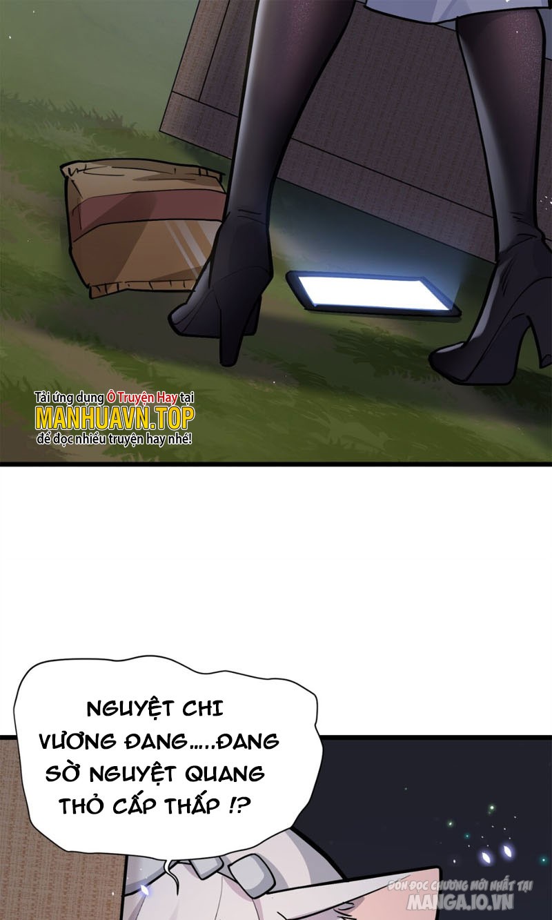 Nhìn Như Boss Nhưng Lại Đáng Tin Cậy Chapter 3 - Trang 2