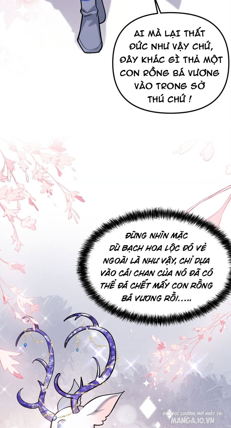 Nhìn Như Boss Nhưng Lại Đáng Tin Cậy Chapter 3 - Trang 2