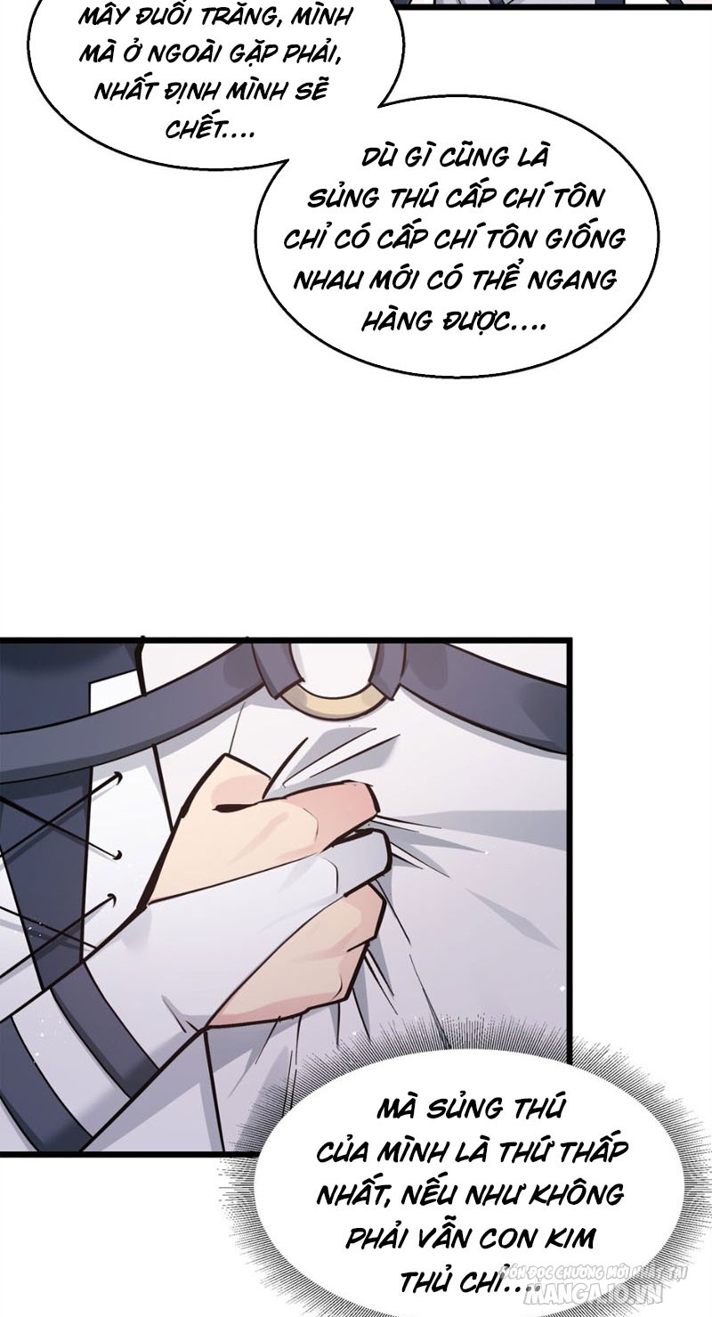 Nhìn Như Boss Nhưng Lại Đáng Tin Cậy Chapter 3 - Trang 2