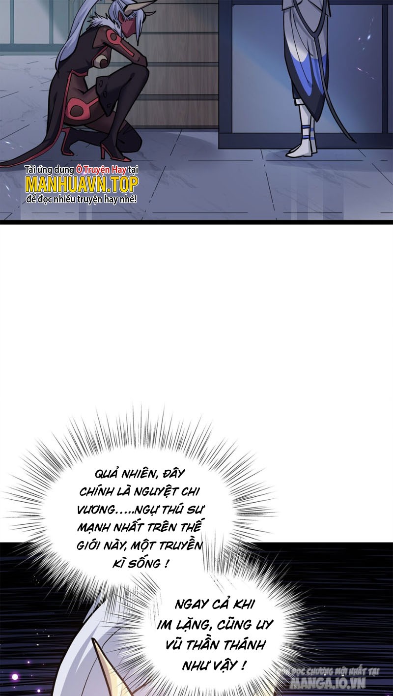 Nhìn Như Boss Nhưng Lại Đáng Tin Cậy Chapter 3 - Trang 2