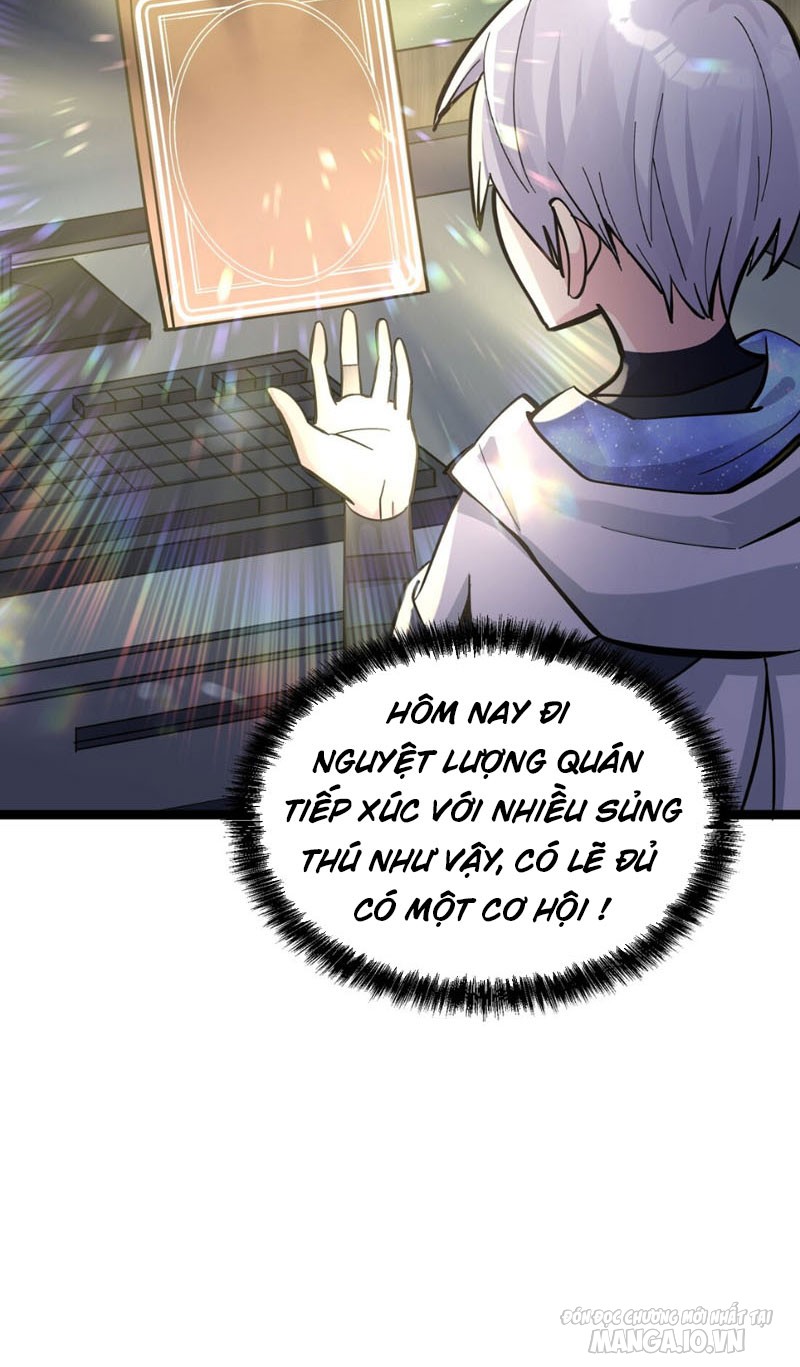 Nhìn Như Boss Nhưng Lại Đáng Tin Cậy Chapter 4 - Trang 2