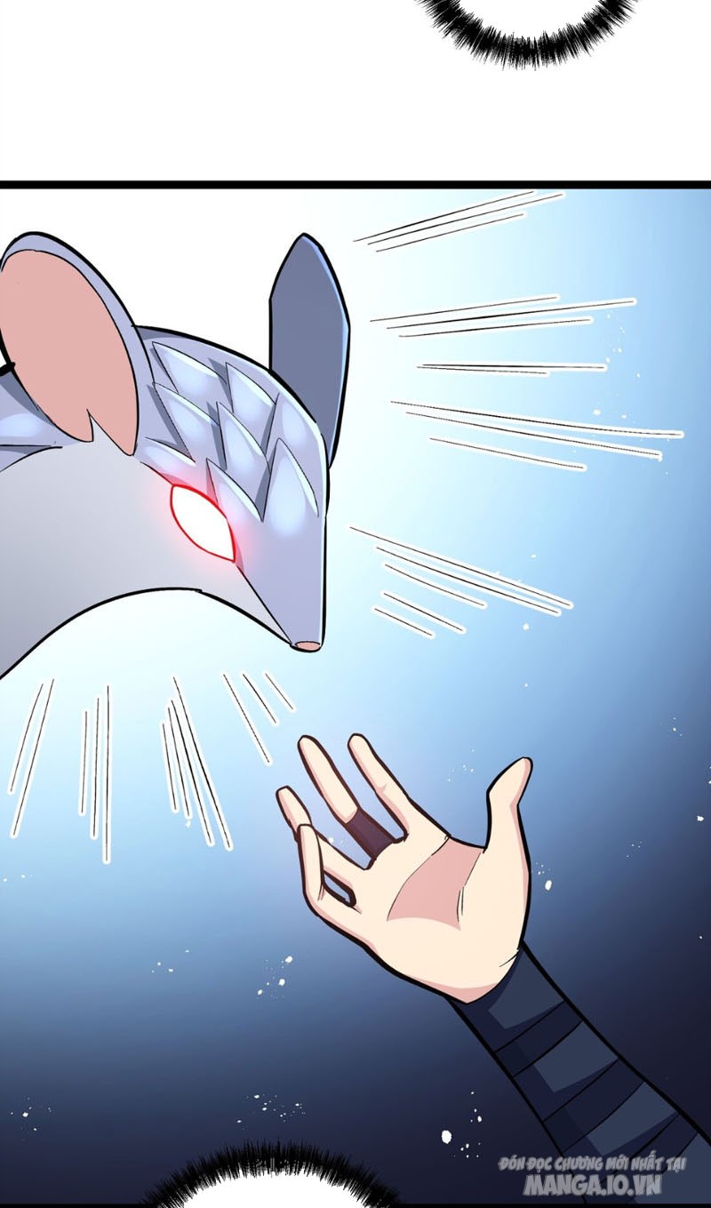 Nhìn Như Boss Nhưng Lại Đáng Tin Cậy Chapter 4 - Trang 2