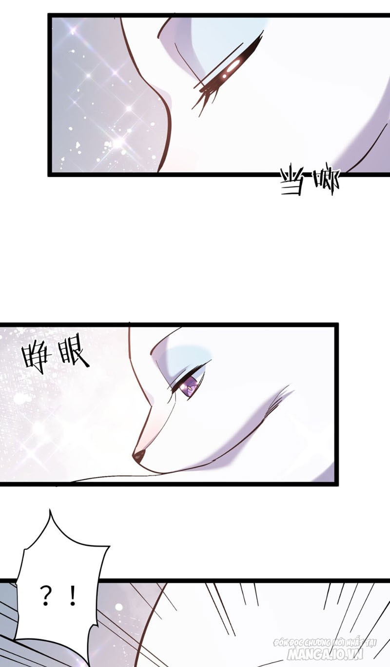 Nhìn Như Boss Nhưng Lại Đáng Tin Cậy Chapter 4 - Trang 2