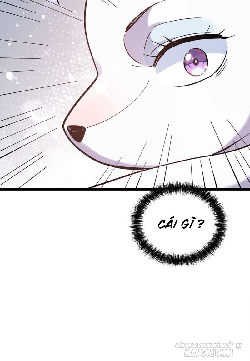 Nhìn Như Boss Nhưng Lại Đáng Tin Cậy Chapter 4 - Trang 2