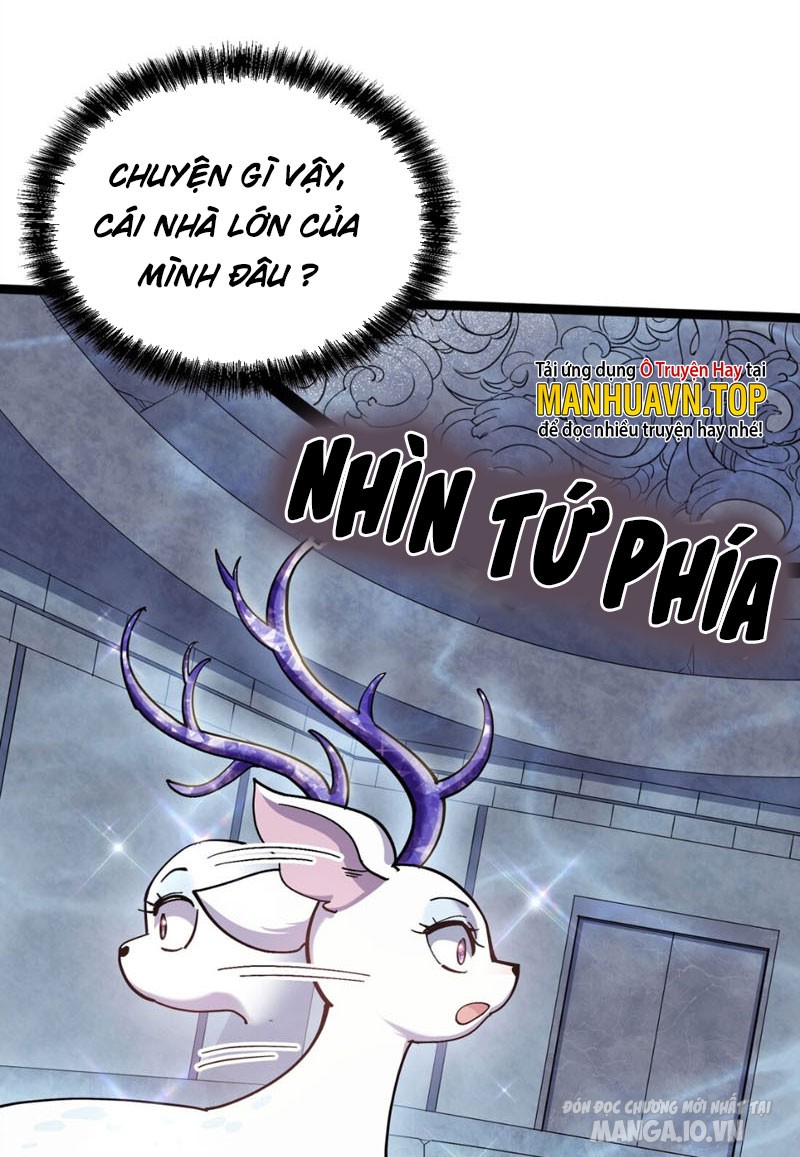 Nhìn Như Boss Nhưng Lại Đáng Tin Cậy Chapter 4 - Trang 2