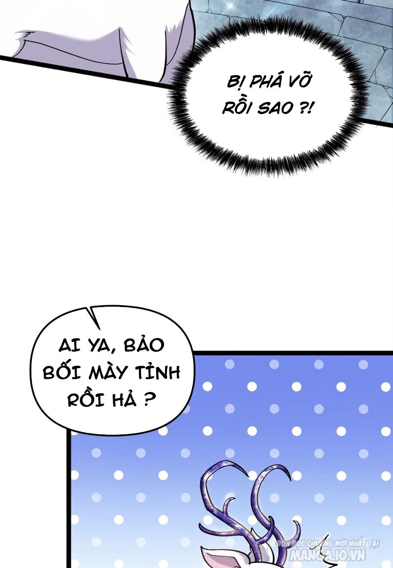 Nhìn Như Boss Nhưng Lại Đáng Tin Cậy Chapter 4 - Trang 2