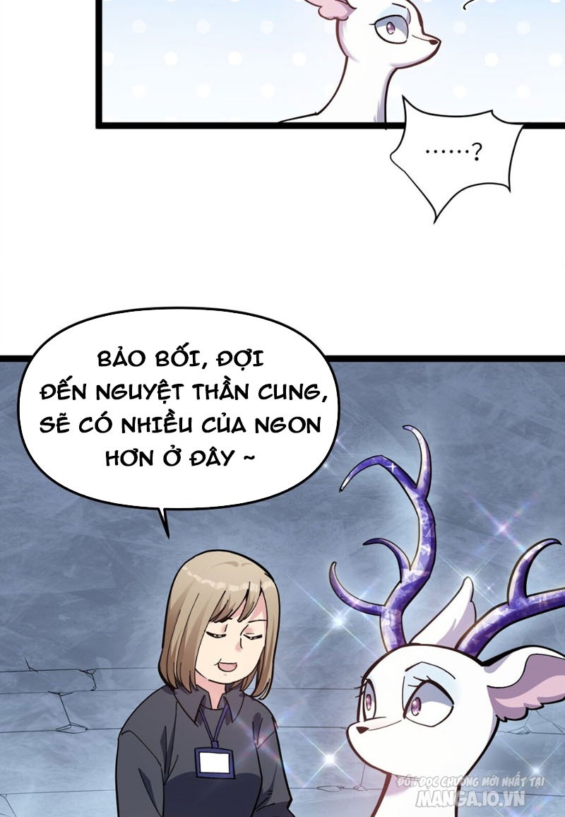 Nhìn Như Boss Nhưng Lại Đáng Tin Cậy Chapter 4 - Trang 2