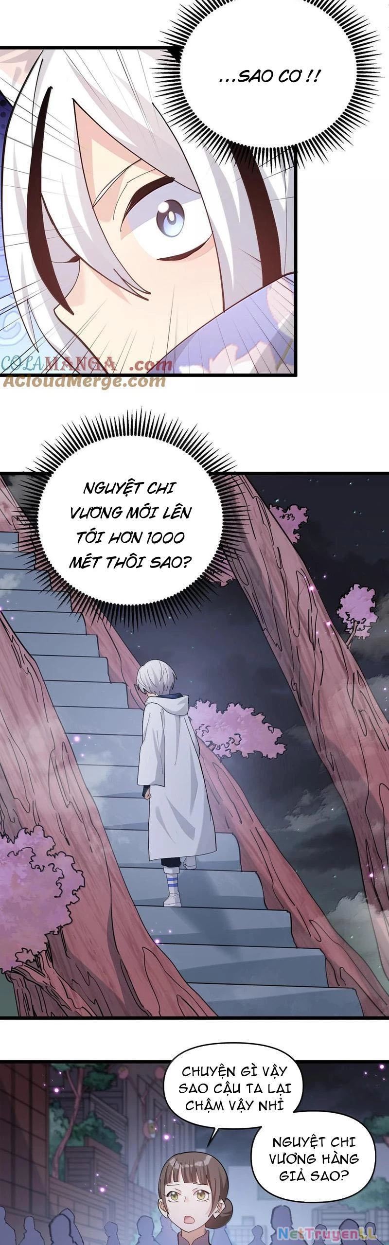 Nhìn Như Boss Nhưng Lại Đáng Tin Cậy Chapter 74 - Trang 2