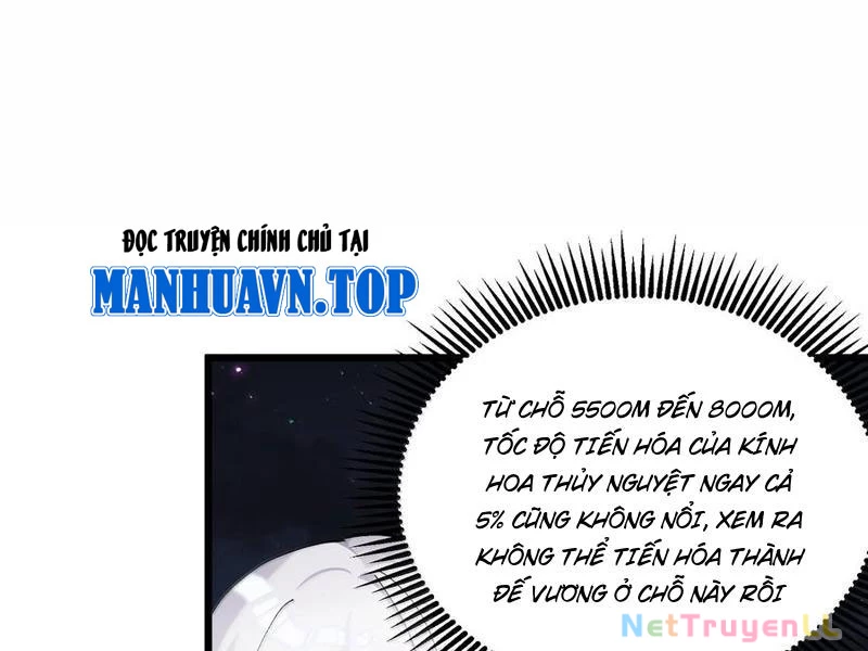 Nhìn Như Boss Nhưng Lại Đáng Tin Cậy Chapter 75 - Trang 2