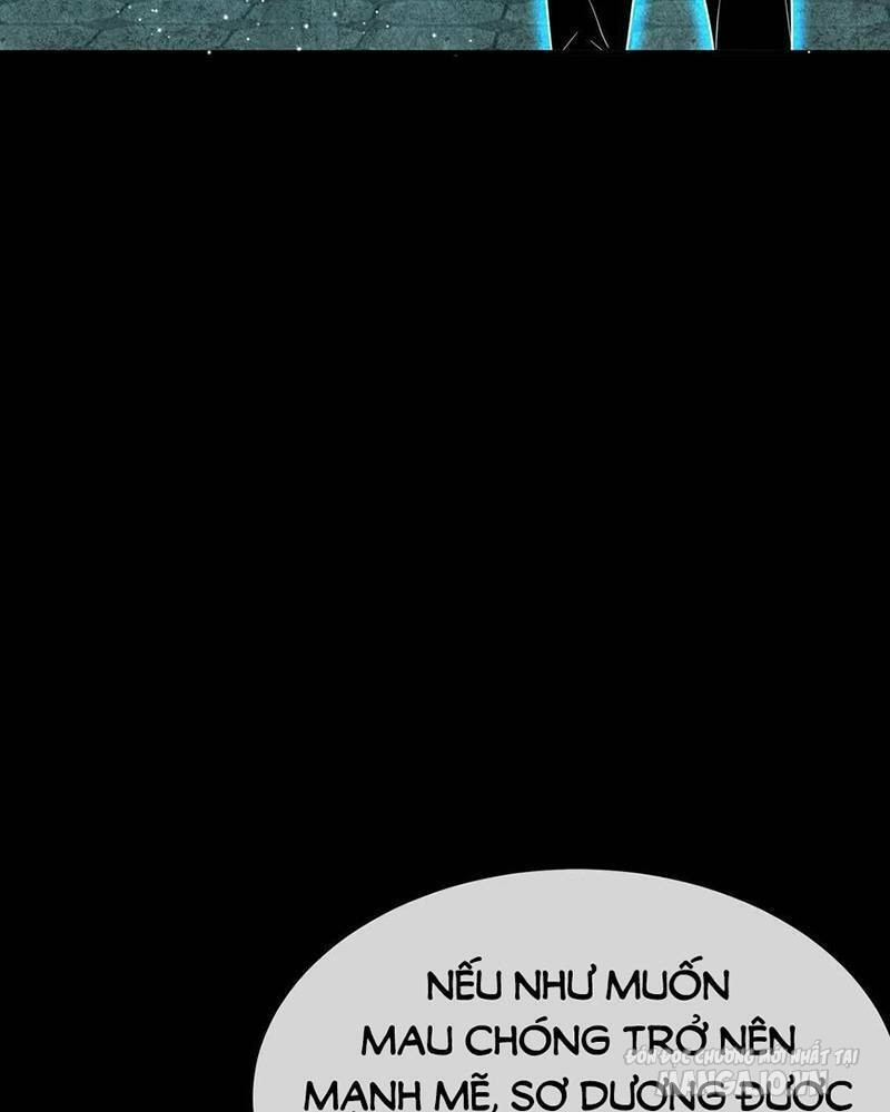 Nhìn Thấy Thanh Máu, Ta Có Thể Tử Hình Thần Minh Chapter 77 - Trang 2