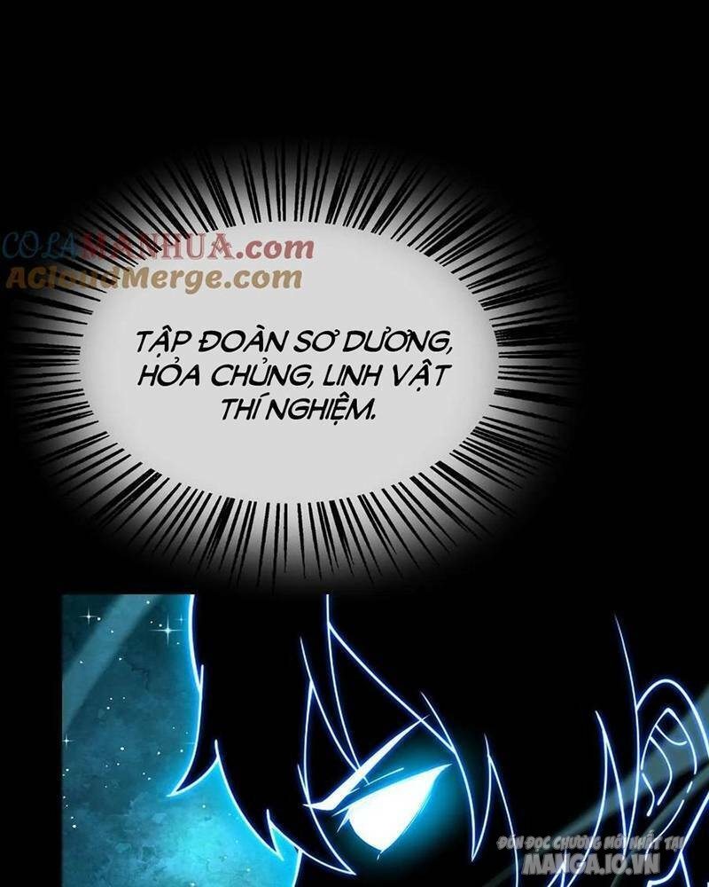 Nhìn Thấy Thanh Máu, Ta Có Thể Tử Hình Thần Minh Chapter 86 - Trang 2