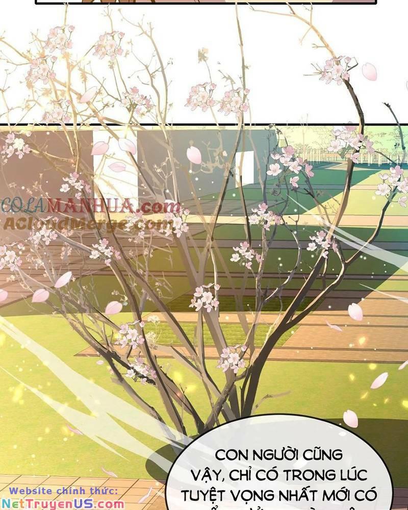 Nhìn Thấy Thanh Máu, Ta Xử Tội Thần Linh Chapter 127 - Trang 2