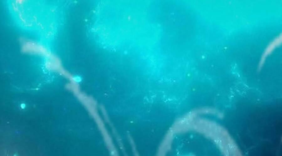 Nhìn Thấy Thanh Máu, Ta Xử Tội Thần Linh Chapter 99 - Trang 2