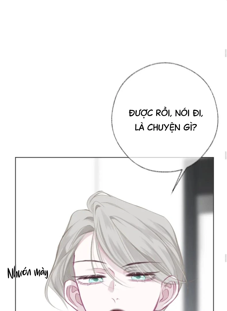 Nhịp Đập Cảm Xúc Chapter 8 - Trang 2