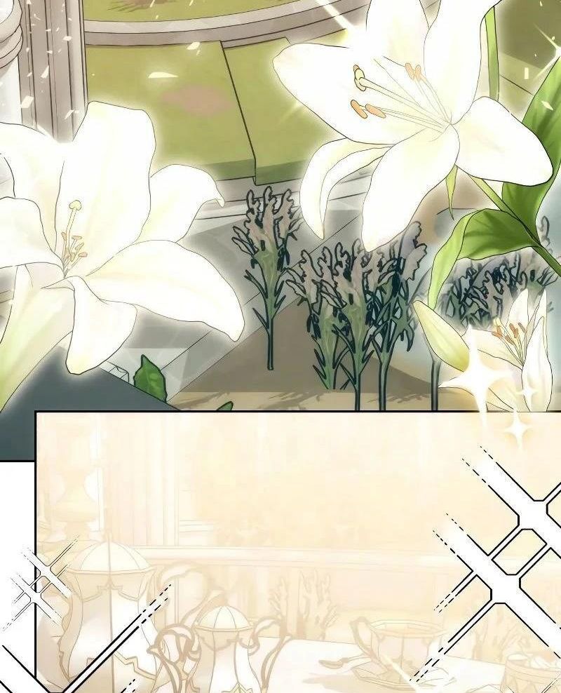 Nhóc Con Này Mơ Làm Trùm Phản Diện Chapter 13 - Trang 2