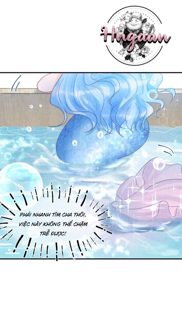 Nhóc Con Người Cá 3 Tuổi Rồi Chapter 1 - Trang 2