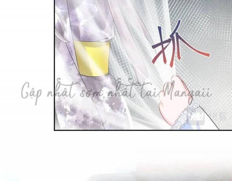 Nhóc Con Người Cá 3 Tuổi Rồi Chapter 181 - Trang 2