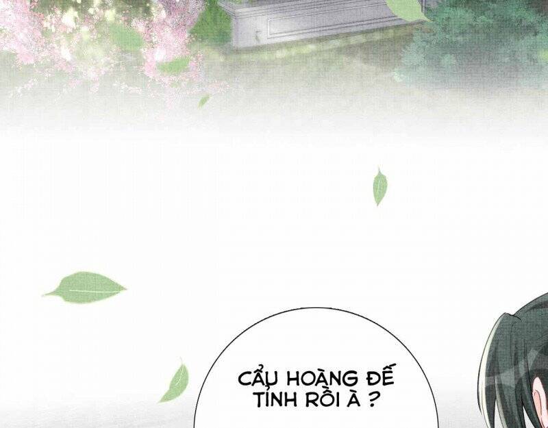 Nhóc Con Người Cá 3 Tuổi Rồi Chapter 202 - Trang 2