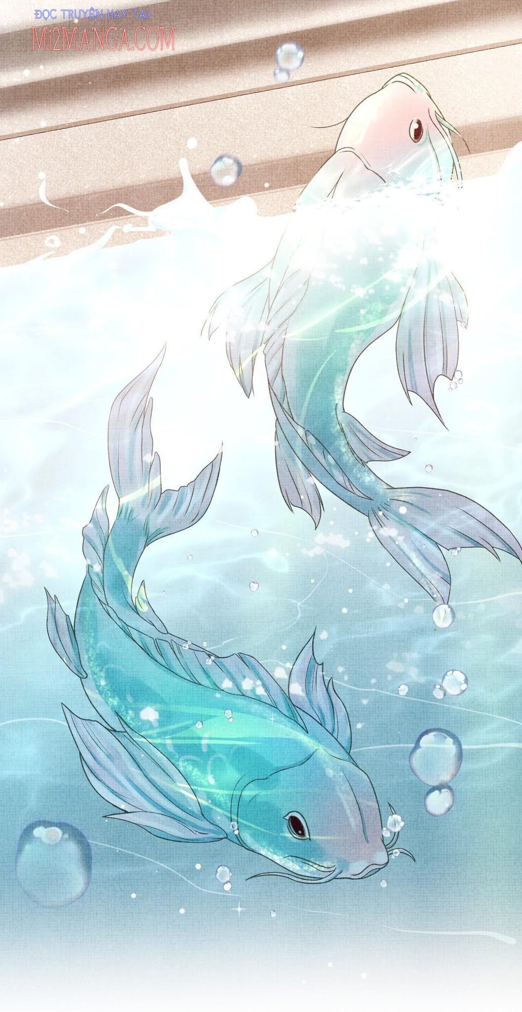 Nhóc Con Người Cá 3 Tuổi Rồi Chapter 6.5 - Trang 2