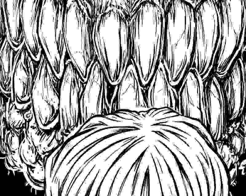 Những Chuyện Kinh Hoàng Chapter 15 - Trang 2
