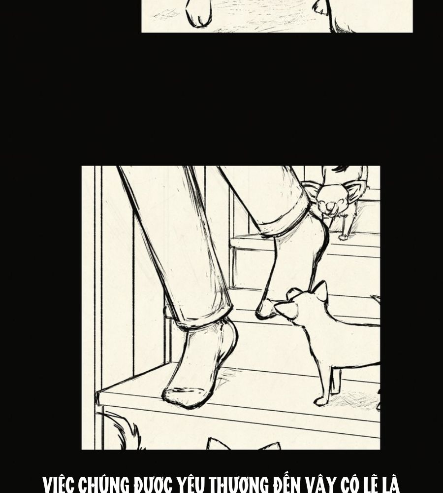 Những Chuyện Kinh Hoàng Chapter 35 - Trang 2