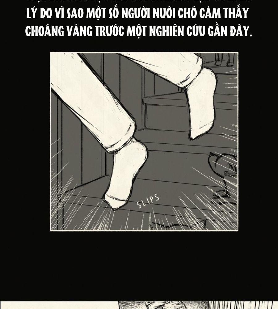 Những Chuyện Kinh Hoàng Chapter 35 - Trang 2