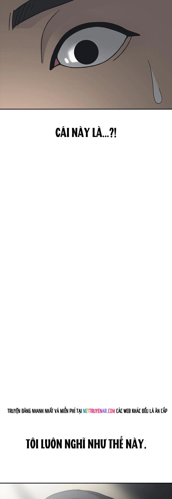 Những Mảnh Đời Tan Vỡ 2 Chapter 53 - Trang 2