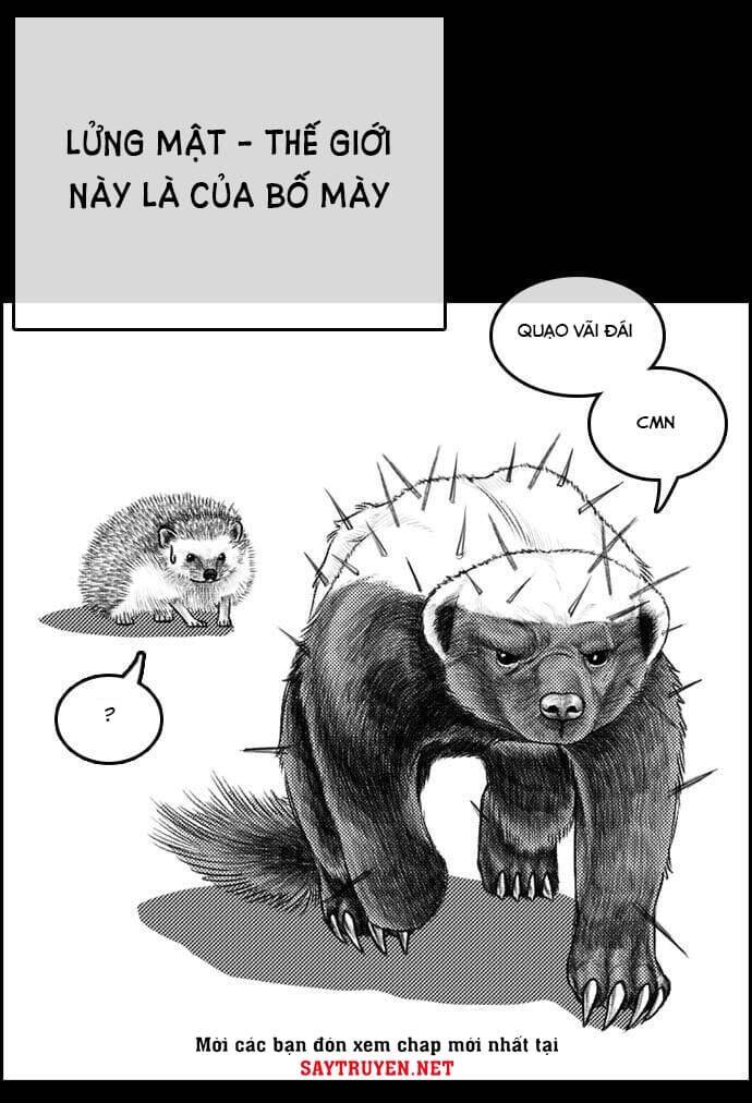 Những Mảnh Đời Tan Vỡ Chapter 4 - Trang 2