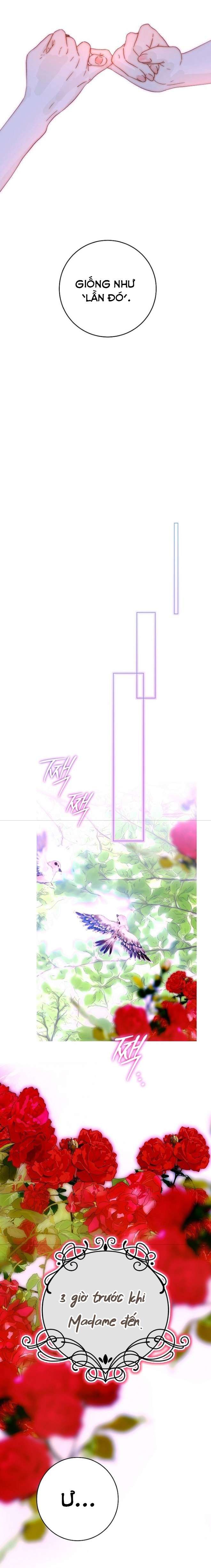 Những Mảnh Vỡ Của Giấc Mộng Thủy Tinh Chapter 26 - Trang 2