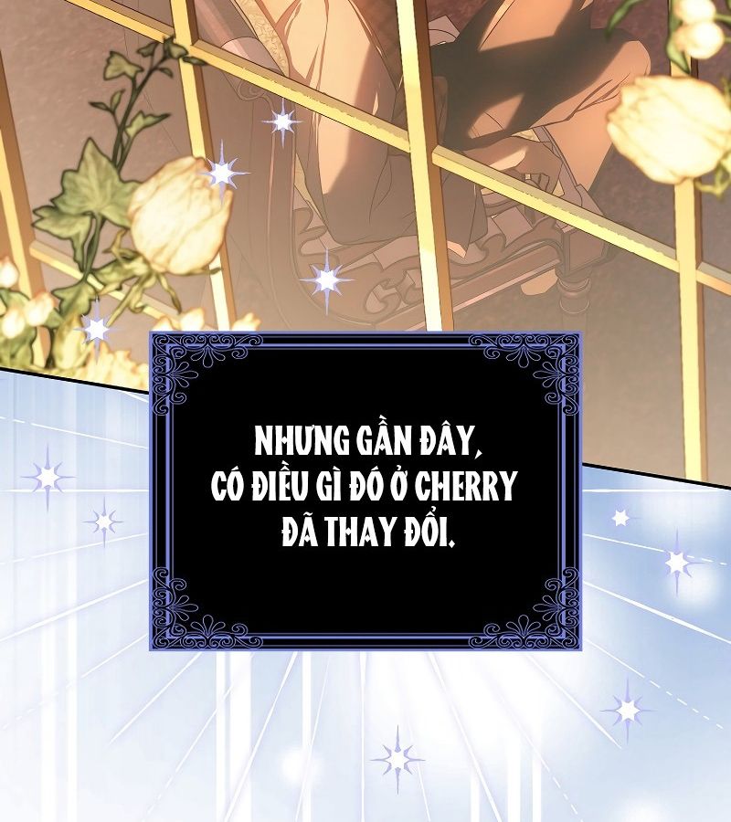 Những Nam Chính Bị Mắc Kẹt Trong Nhà Của Tôi Chapter 15 - Trang 2