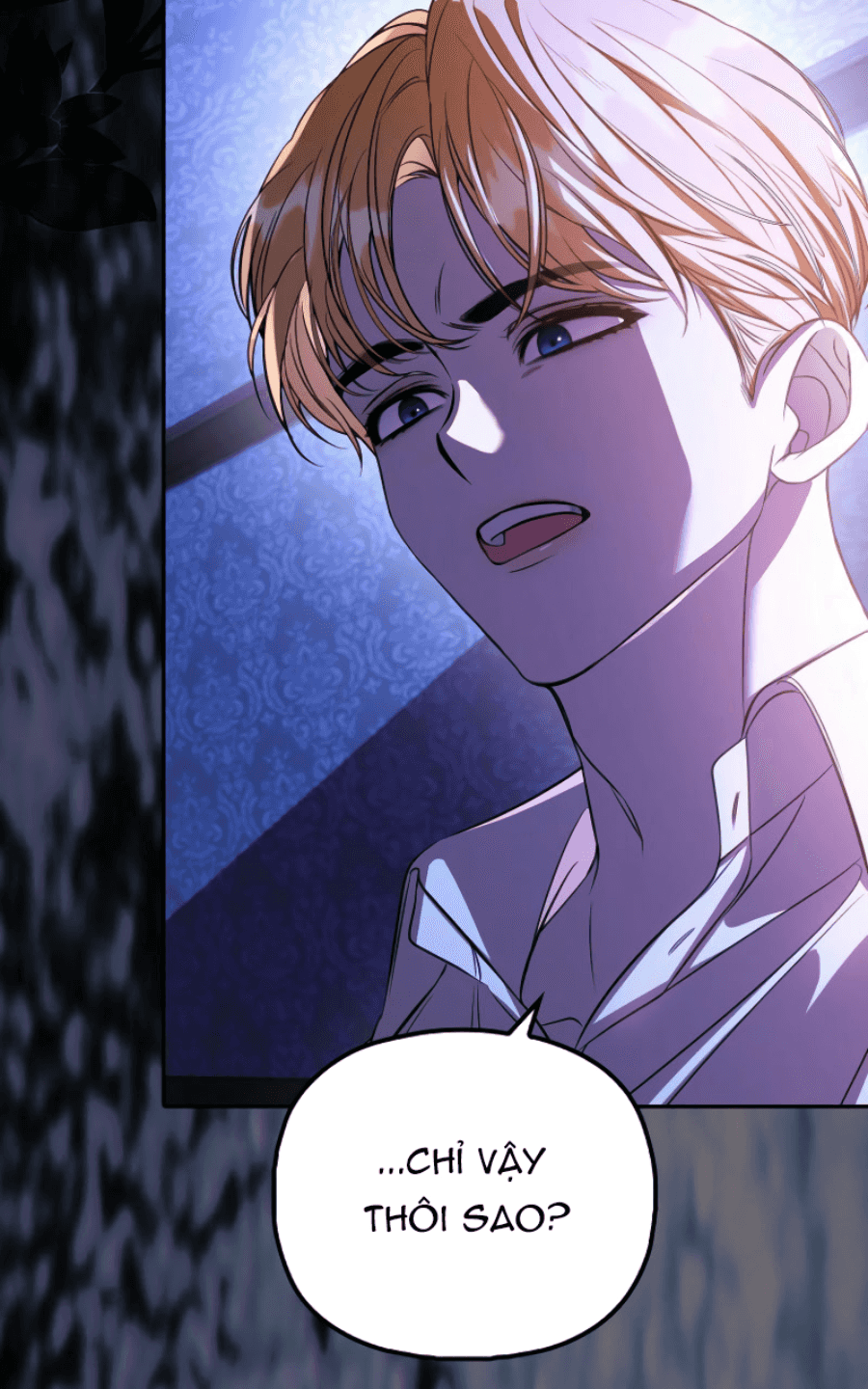 Những Nam Chính Bị Mắc Kẹt Trong Nhà Của Tôi Chapter 28 - Trang 2