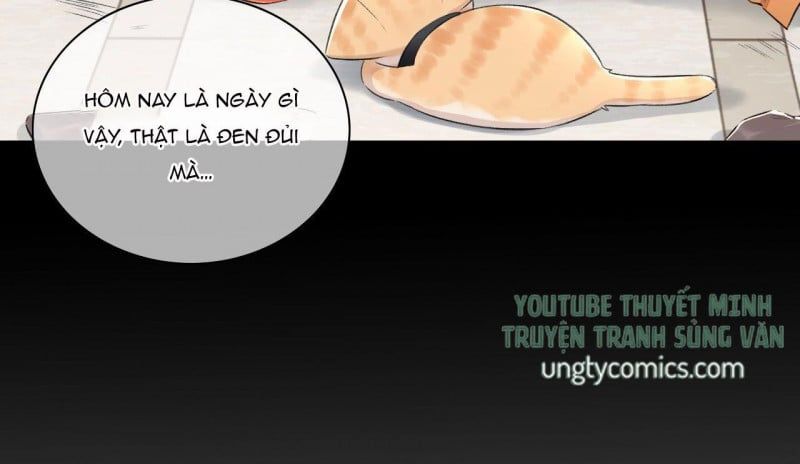 Những Ngày Cùng Tra Công Chính Diện Quyết Đấu Chapter 2 - Trang 2