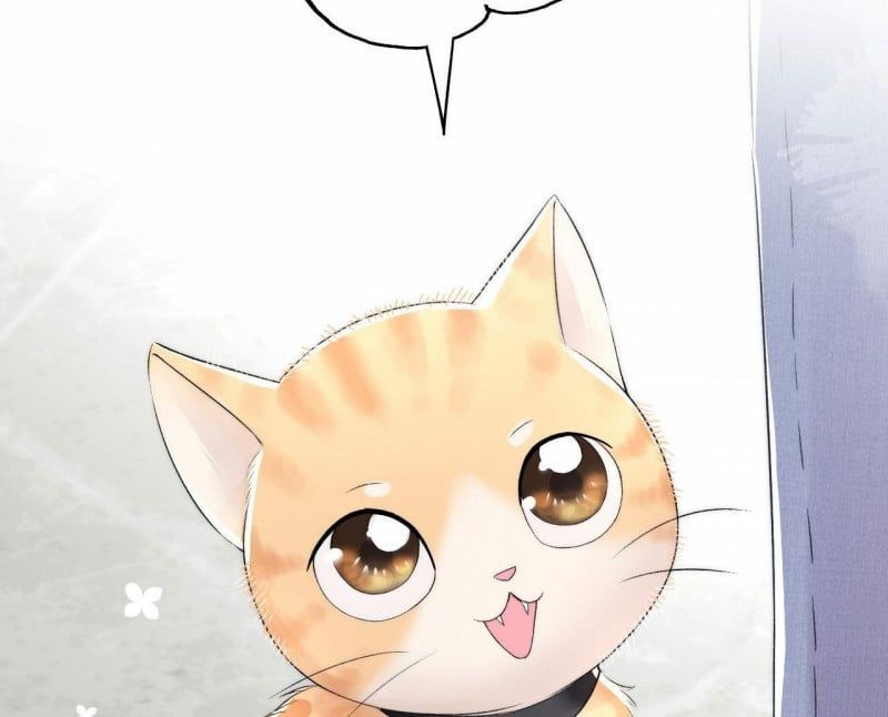 Những Ngày Cùng Tra Công Chính Diện Quyết Đấu Chapter 2 - Trang 2