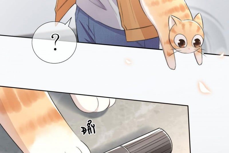 Những Ngày Cùng Tra Công Chính Diện Quyết Đấu Chapter 2 - Trang 2