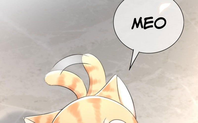 Những Ngày Cùng Tra Công Chính Diện Quyết Đấu Chapter 2 - Trang 2