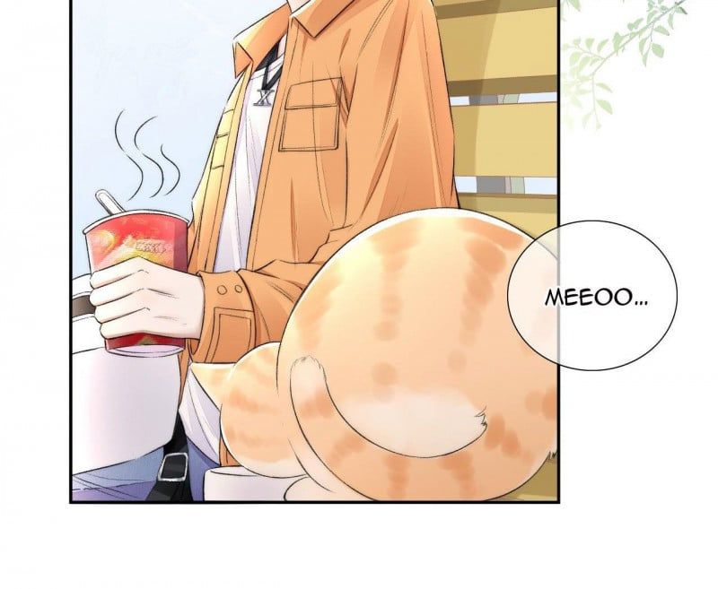 Những Ngày Cùng Tra Công Chính Diện Quyết Đấu Chapter 2 - Trang 2