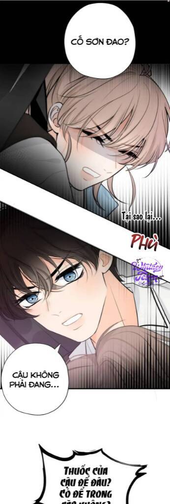 Những Ngày Thanh Xuân Của Tôi Chapter 2 - Trang 2