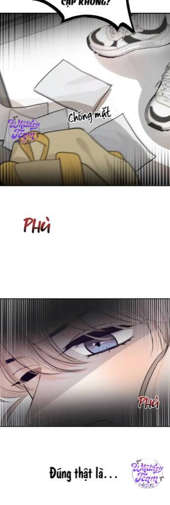 Những Ngày Thanh Xuân Của Tôi Chapter 2 - Trang 2