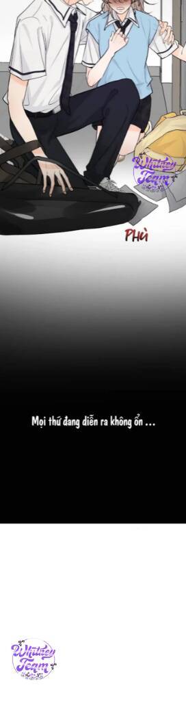 Những Ngày Thanh Xuân Của Tôi Chapter 2 - Trang 2