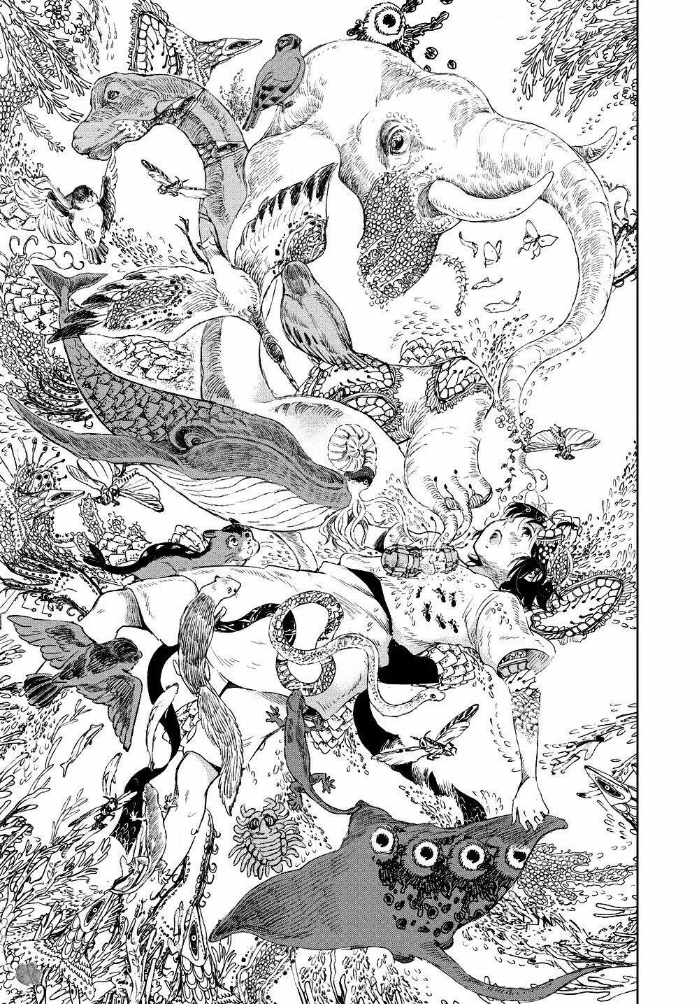 Những Người Con Của Cá Voi Bùn Chapter 23 - Trang 2