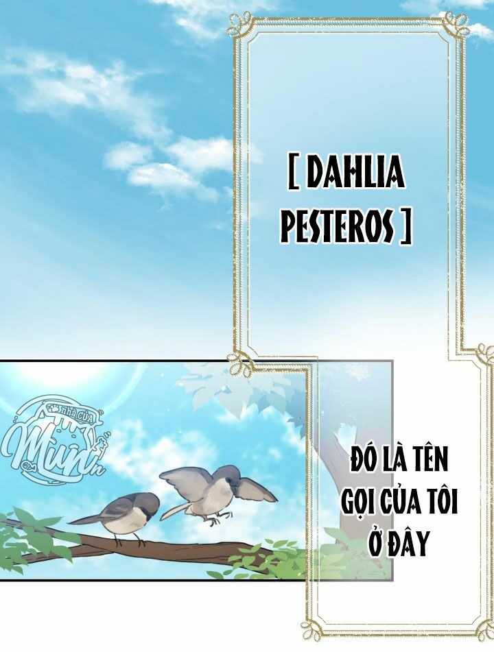 Những Nhân Vật Mạnh Nhất Thế Giới Ám Ảnh Tôi Chapter 1 - Trang 2