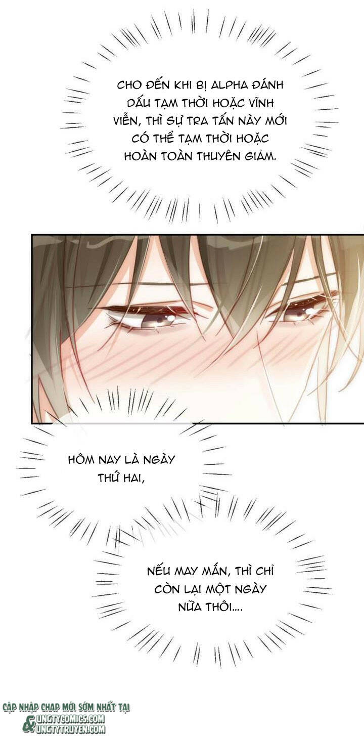 Nịch Tửu Chapter 11 - Trang 2