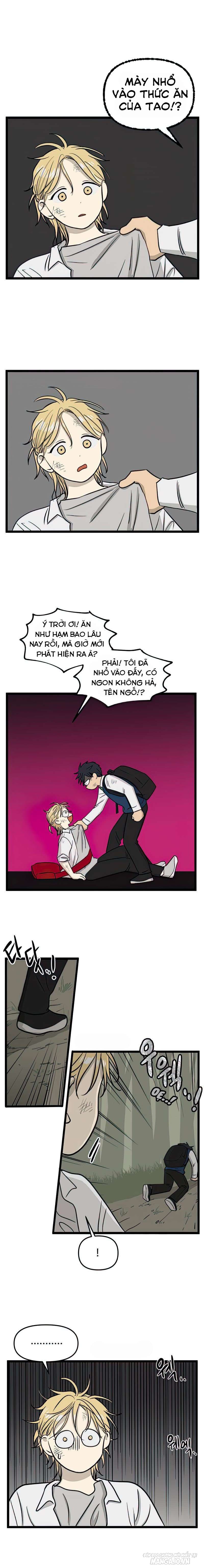 No Home Chapter 103 - Trang 2